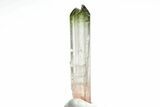 Bi-Colored Elbaite Tourmaline Crystal - Rubaya, Congo #206889-1